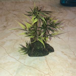 Fish tank decorations